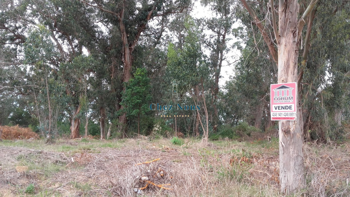 Terreno ID.421 - VENTA TERRENO EN SANTA MÓNICA