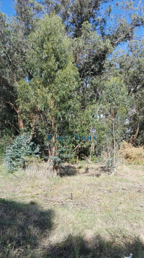 Terreno ID.421 - VENTA TERRENO EN SANTA MÓNICA