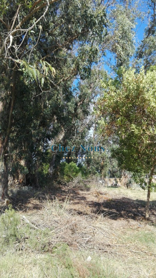 Terreno ID.421 - VENTA TERRENO EN SANTA MÓNICA