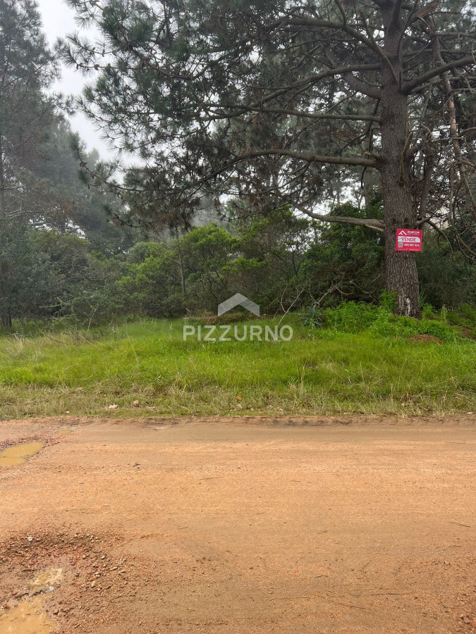 Terreno Ref.420 - TÍO TOM A 500 MTS. DEL MAR