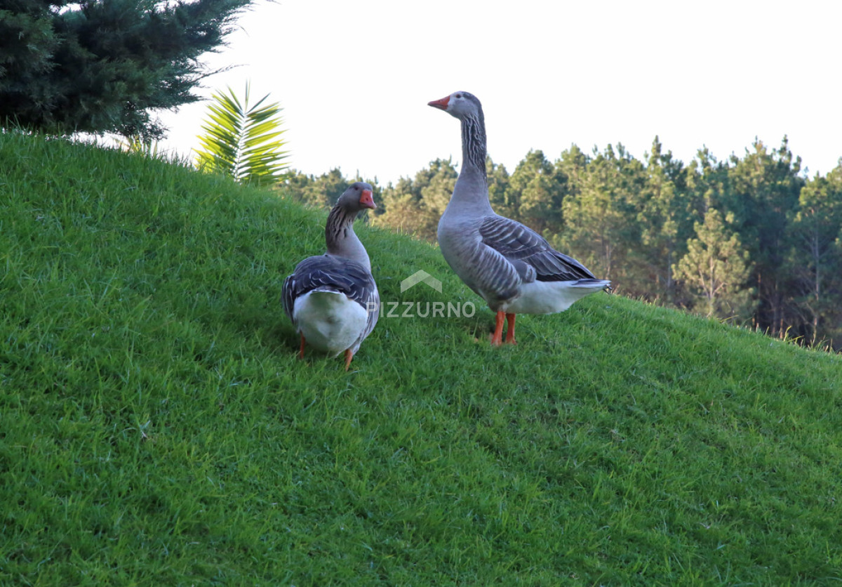 Apartamento Ref.339 - VENTA APARTAMENTO 3 DORMITORIOS EN SUITE