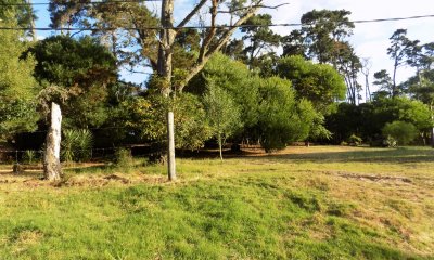 TERRENO EN VENTA 1075 MTS. PIEDRA DEL CHILENO
