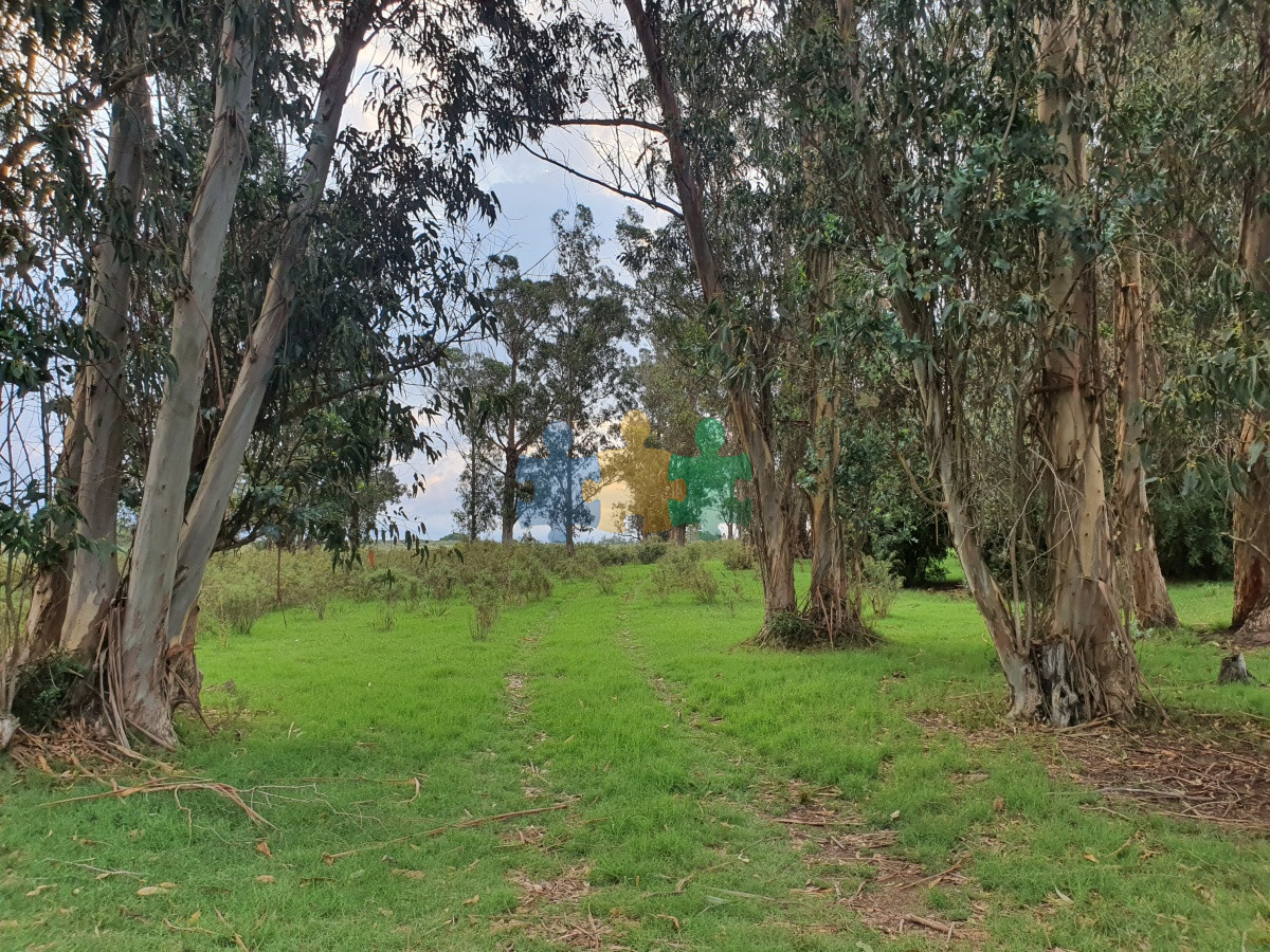 Paraje El Renegado - GoPunta - Portal Inmobiliario de Punta del Este - Maldonado