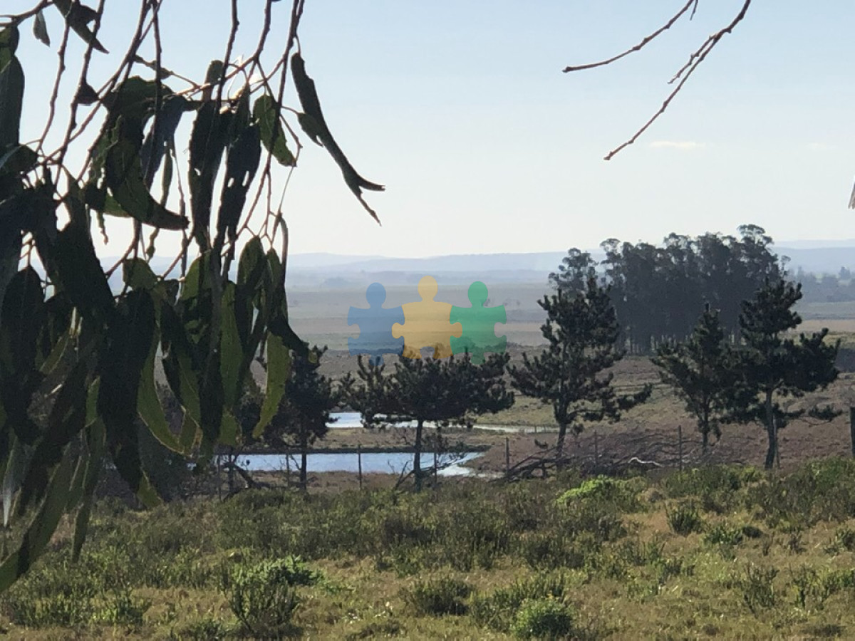 Las Garzas - GoPunta - Portal Inmobiliario de Punta del Este - Maldonado