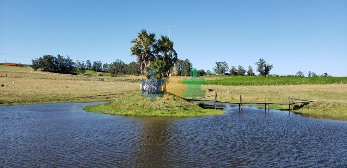 Pueblo Eden - GoPunta - Portal Inmobiliario de Punta del Este - Maldonado