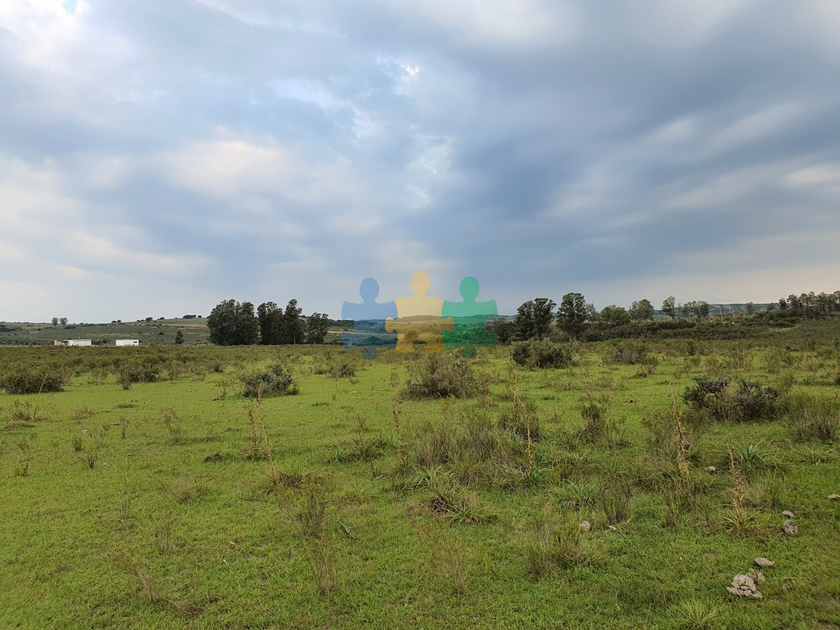 Paraje El Renegado - GoPunta - Portal Inmobiliario de Punta del Este - Maldonado