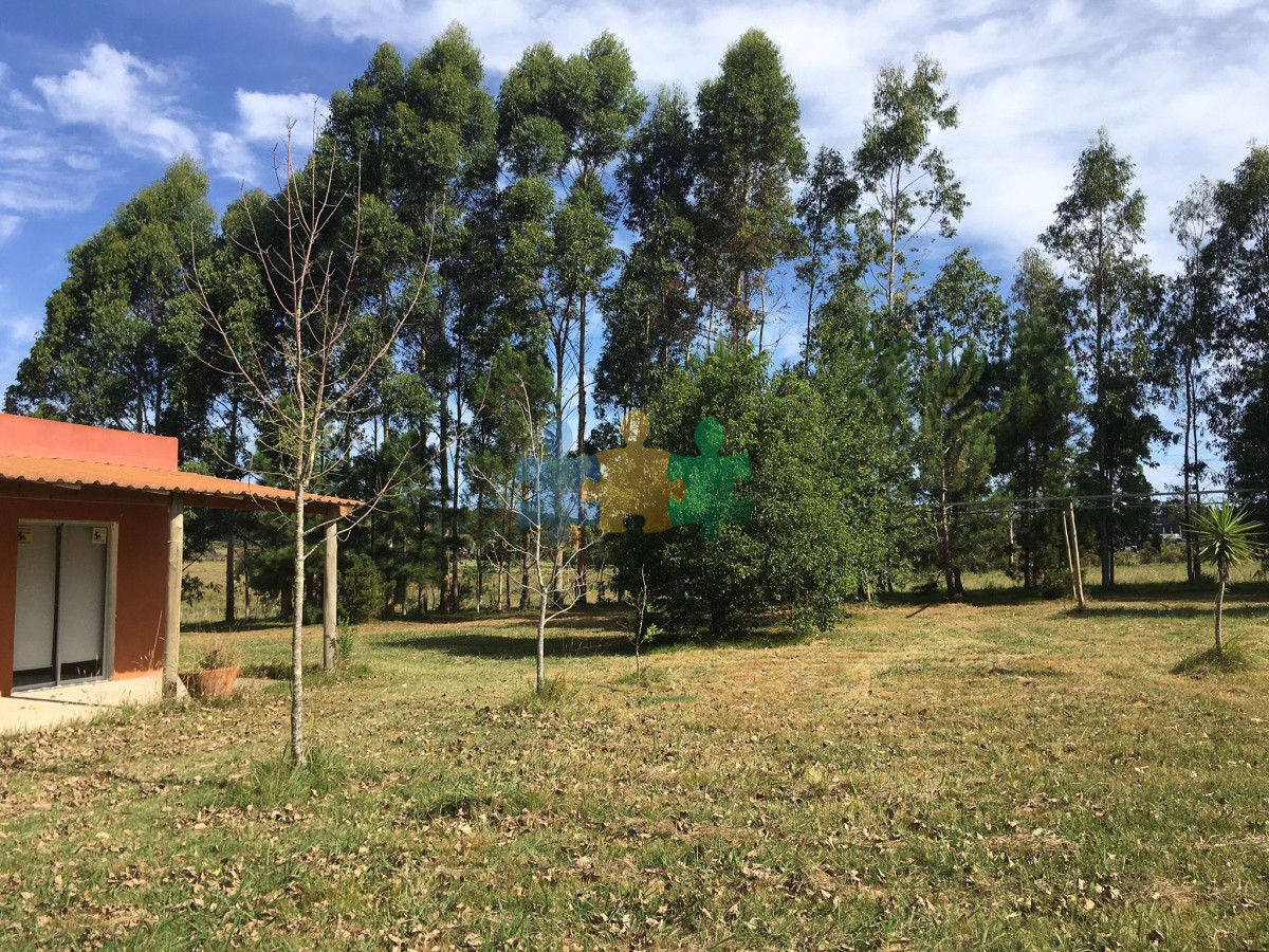 La Pataia - GoPunta - Portal Inmobiliario de Punta del Este - Maldonado
