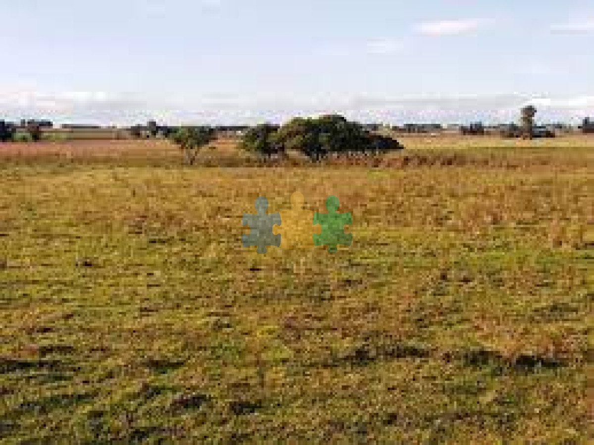 Pueblo Eden - GoPunta - Portal Inmobiliario de Punta del Este - Maldonado