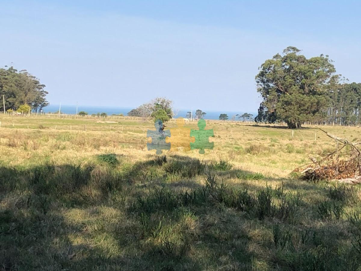 Las Garzas - GoPunta - Portal Inmobiliario de Punta del Este - Maldonado