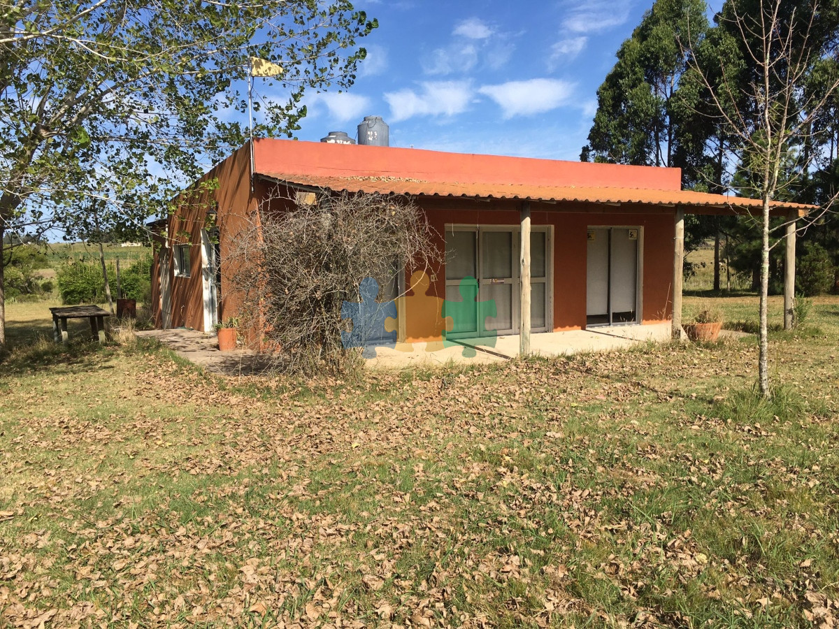 La Pataia - GoPunta - Portal Inmobiliario de Punta del Este - Maldonado