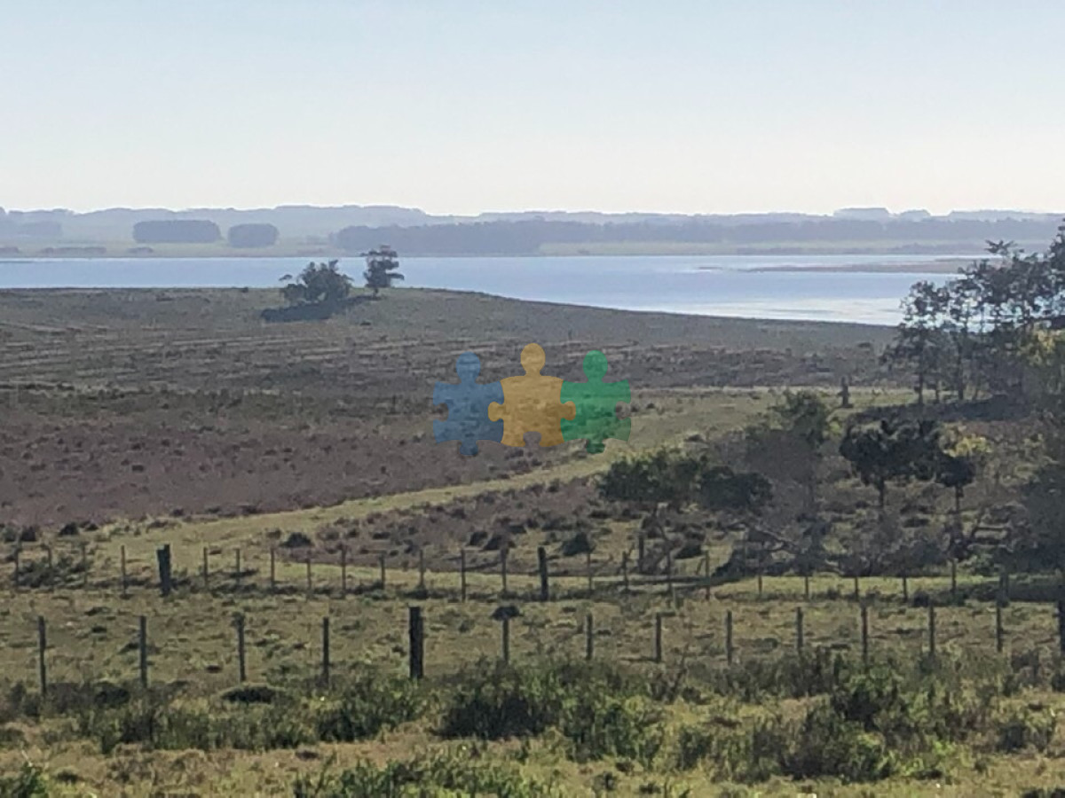 Las Garzas - GoPunta - Portal Inmobiliario de Punta del Este - Maldonado