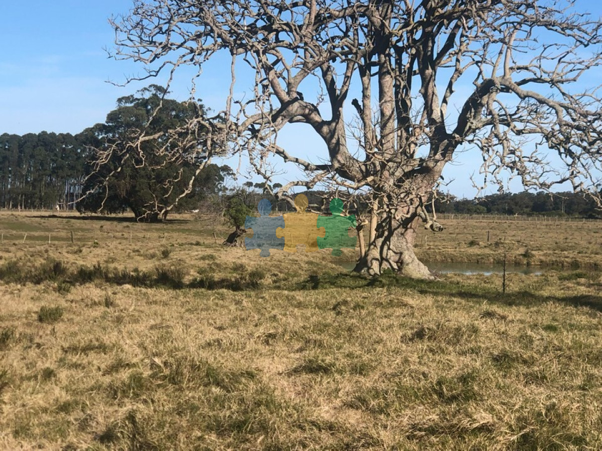 Las Garzas - GoPunta - Portal Inmobiliario de Punta del Este - Maldonado