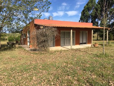 Tu Oportunidad de vivir en una chacra a 5 minutos de Punta... - Ref : EQP7384