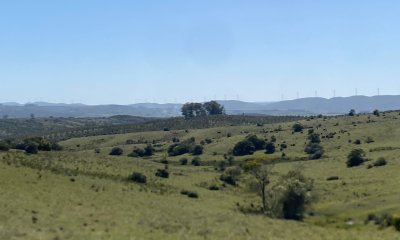 Chacras con vistas Únicas, Olivos, Sierras y descanso... !! Atención Precio Rebajado !! - Ref : EQP7387