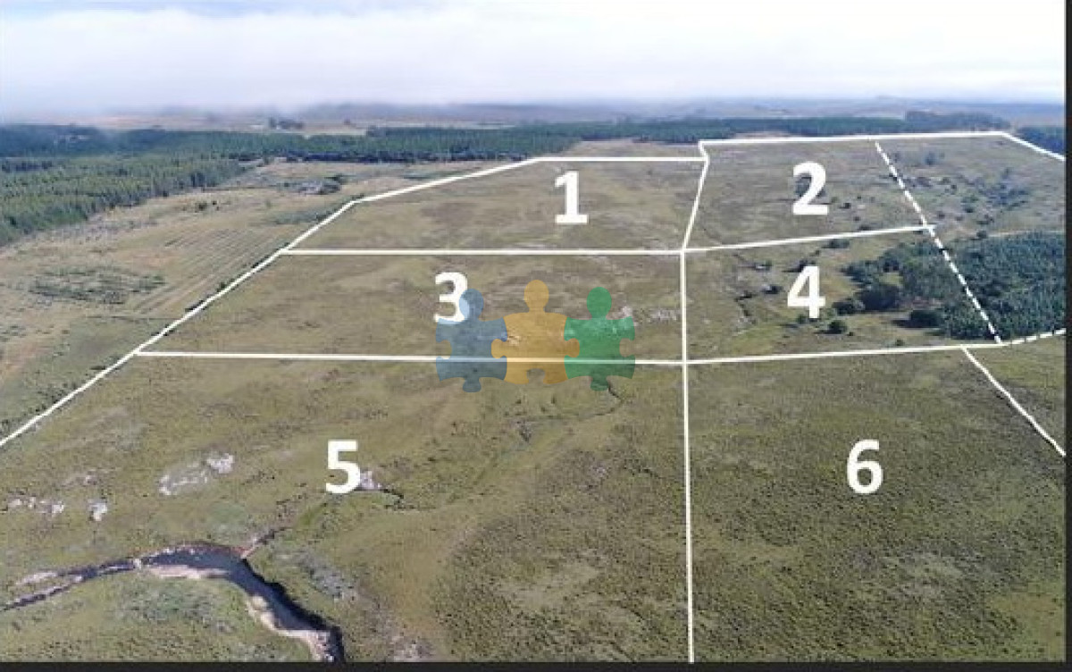 Lindo campito de 37 has a metros de Ruta 12 y 15 minutos de Pueblo Edén.   Ref : EQP7362 - GoPunta - Portal Inmobiliario de Punta del Este - Maldonado