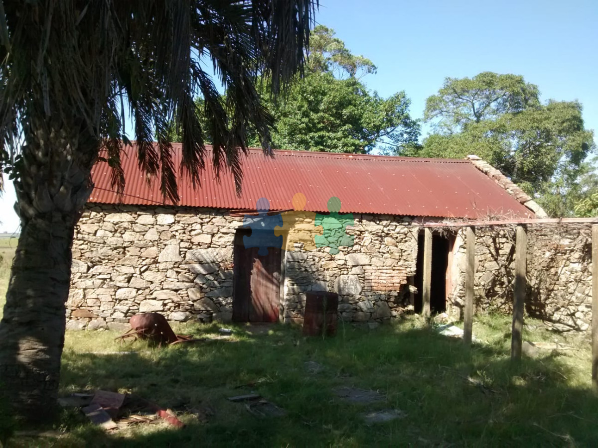 Lindo campo ganadero de 78 Has muy bien ubicado, muy pintoresco.   Ref : EQP7366 - GoPunta - Portal Inmobiliario de Punta del Este - Maldonado