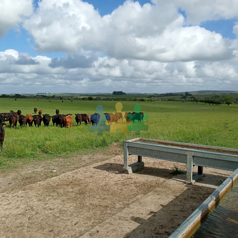 El Establecimiento Rural mas completo de Pueblo Edén y se vende a portera cerrada !   Ref : EQP7083 - GoPunta - Portal Inmobiliario de Punta del Este - Maldonado