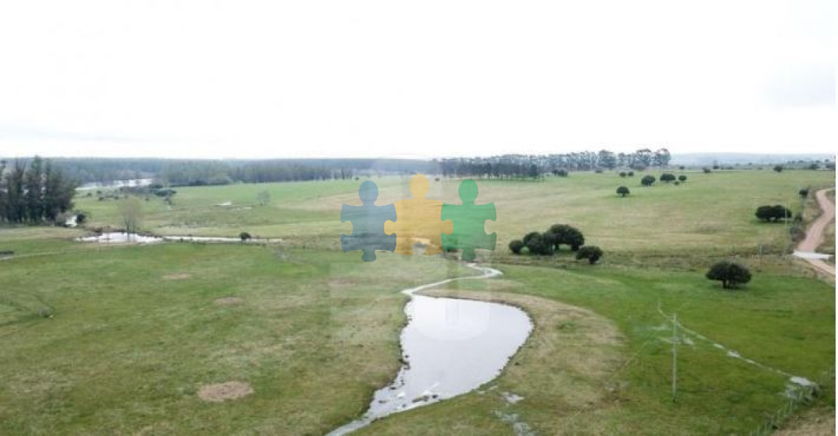 El Establecimiento Rural mas completo de Pueblo Edén y se vende a portera cerrada !   Ref : EQP7083 - GoPunta - Portal Inmobiliario de Punta del Este - Maldonado
