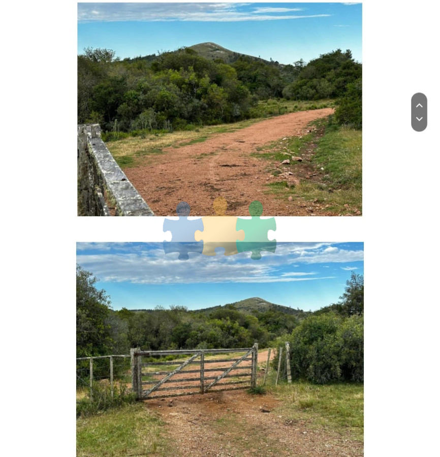 885 Has Campo Mixto Ganadero – Forestal   Ref : EQP7087 - GoPunta - Portal Inmobiliario de Punta del Este - Maldonado