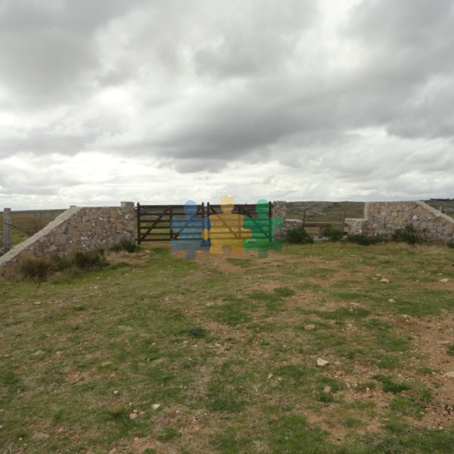 Excelente campo ganadero, apto para Olivos Vid Eucaliptus o recreo, sobre ruta 12.   Ref : EQP7363 - GoPunta - Portal Inmobiliario de Punta del Este - Maldonado