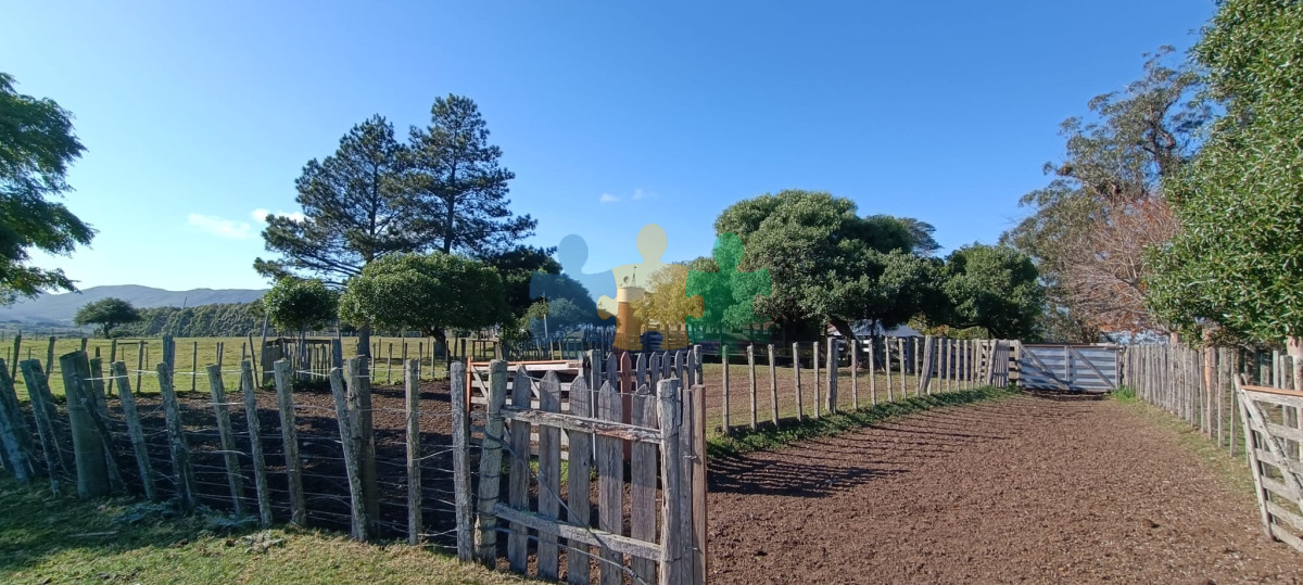 Muy buen campo mixto Ganadero Forestal de 690 Has y bien ubicado   Ref : EQP7361 - GoPunta - Portal Inmobiliario de Punta del Este - Maldonado