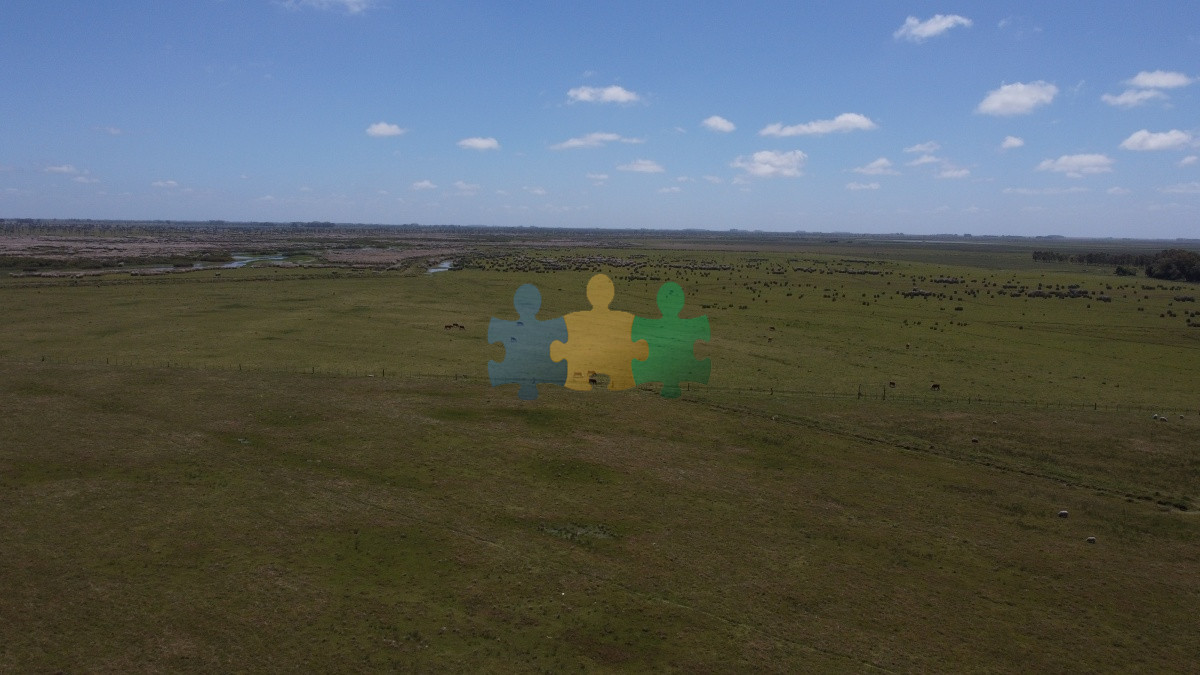 Campo de 744 hectareas Arroceras, en venta   Ref : EQP7364 - GoPunta - Portal Inmobiliario de Punta del Este - Maldonado