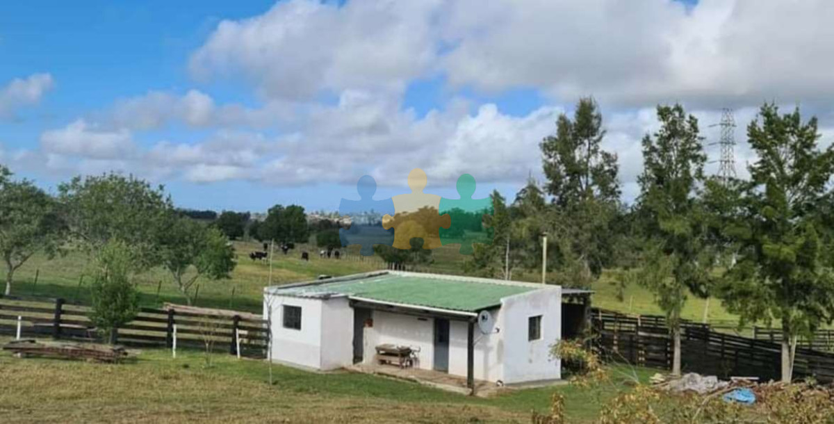Muy linda fracción de campo, excelentemente ubicado con casa e instalaciones.   Ref : EQP7367 - GoPunta - Portal Inmobiliario de Punta del Este - Maldonado