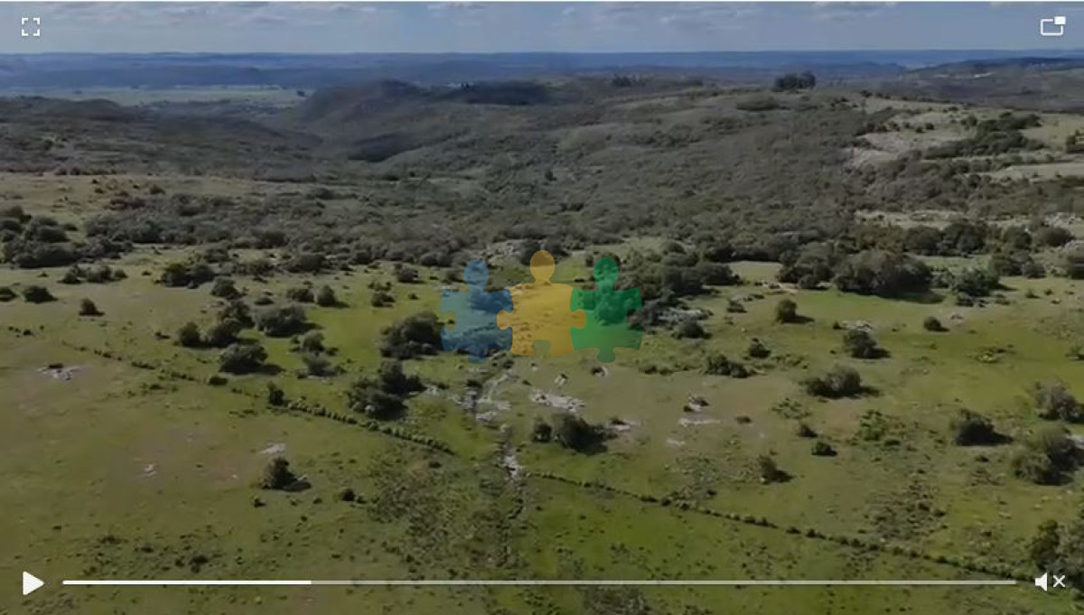 Gran Potencial Turístico, apto para fraccionamiento de chacras en ubicación inmejorable.   Ref : EQP7410 - GoPunta - Portal Inmobiliario de Punta del Este - Maldonado