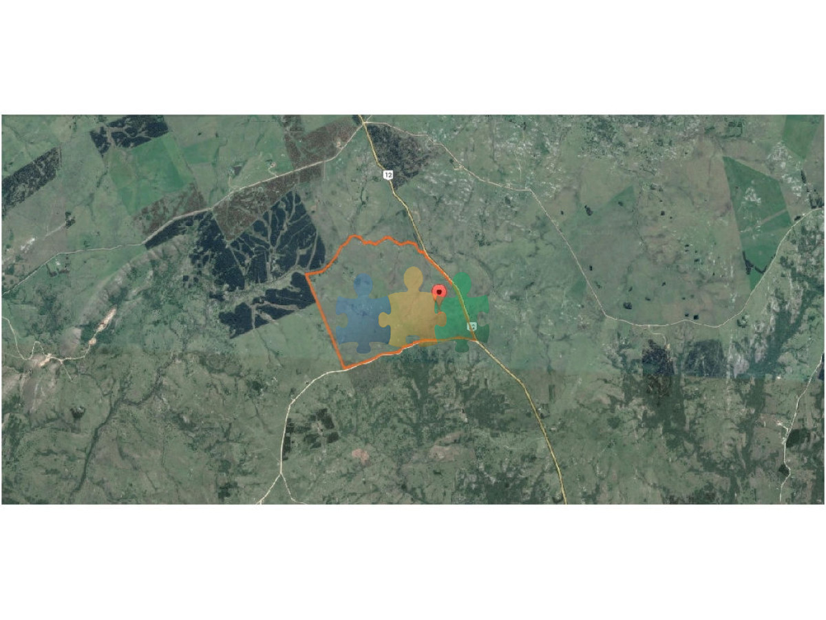 Excelente campo ganadero, apto para Olivos Vid Eucaliptus o recreo, sobre ruta 12.   Ref : EQP7363 - GoPunta - Portal Inmobiliario de Punta del Este - Maldonado