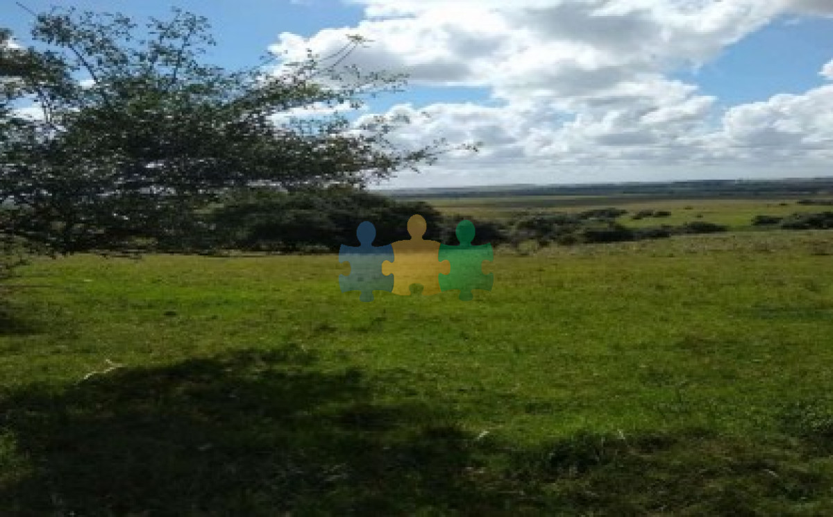 Buen campo ganadero 218 Has en Oratorio   Ref : EQP7084 - GoPunta - Portal Inmobiliario de Punta del Este - Maldonado