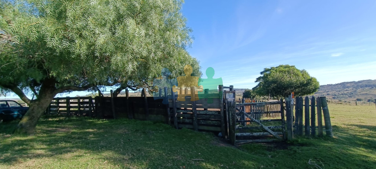 Muy buen campo mixto Ganadero Forestal de 690 Has y bien ubicado   Ref : EQP7361 - GoPunta - Portal Inmobiliario de Punta del Este - Maldonado