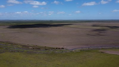 Campo de 744 hectareas Arroceras, en venta - Ref : EQP7364