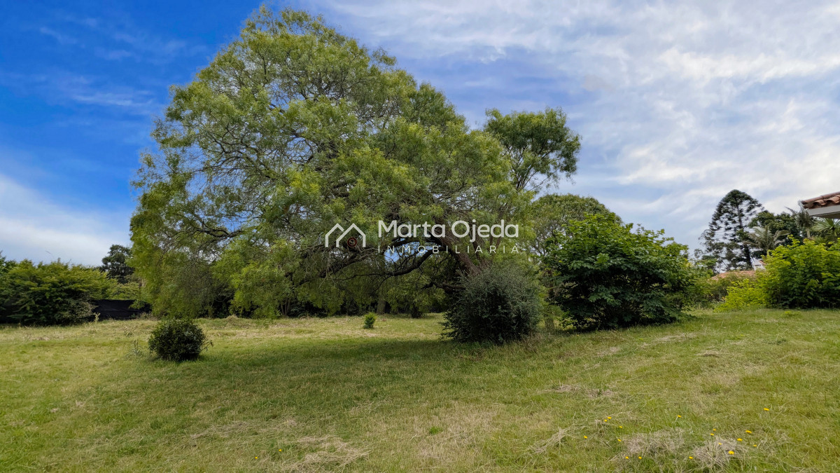 Casa ID.41005 - Venta de casa 3 dormitorios y servicio en El Golf Punta del Este 