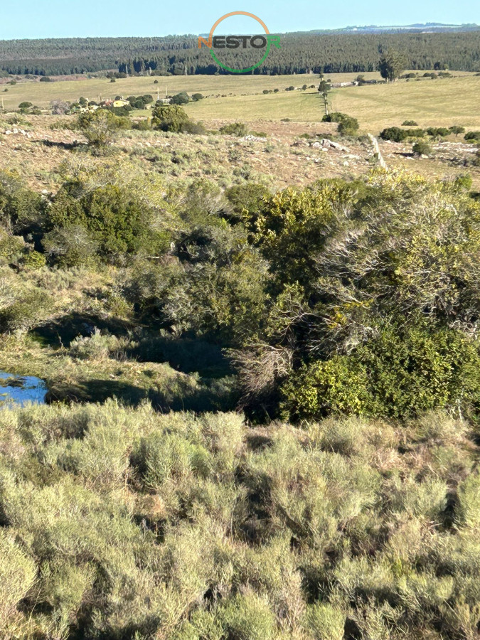 Chacra ID.6846 - 15 Has con todo lo que buscas, vistas increíbles, cañada, tajamar, monte nativo y a tan solo 30 minutos de Punta !