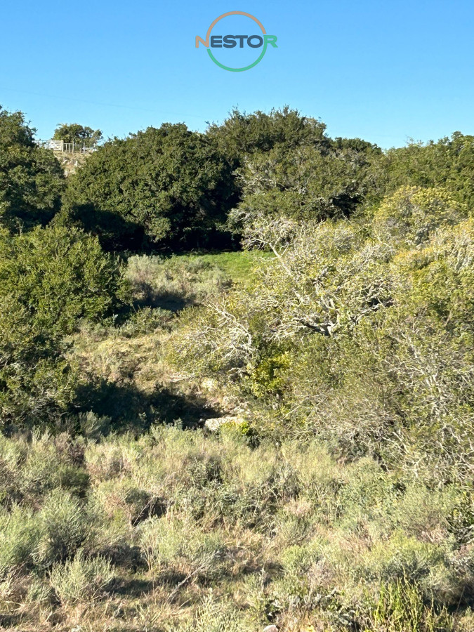 Chacra ID.6847 - Lindo campito de Recreo o para fraccionar a 30 minutos de Punta, Monte Nativo, tajamar y muy buenas vistas !