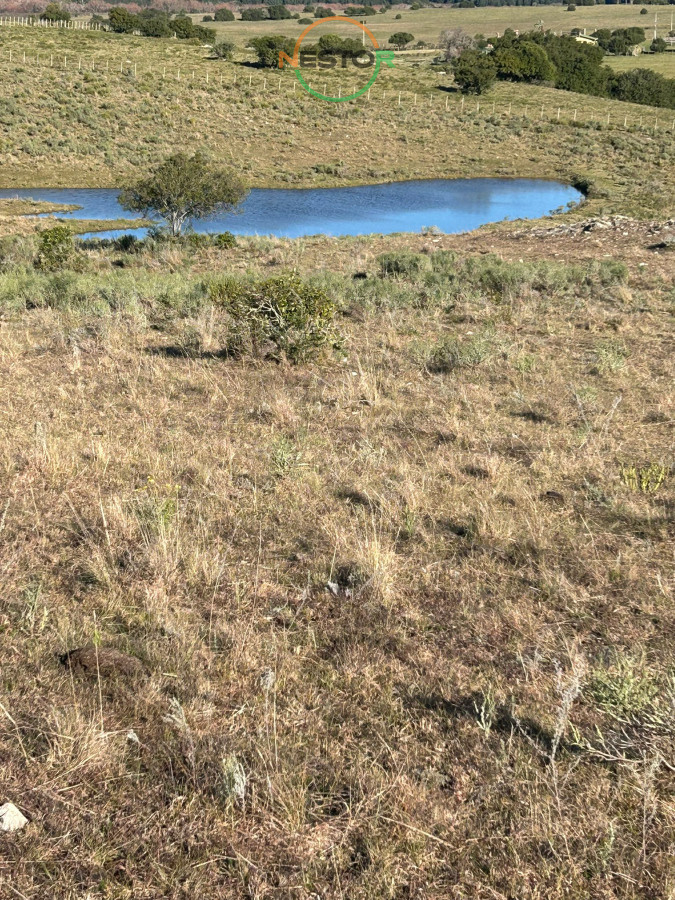 Chacra ID.6846 - 15 Has con todo lo que buscas, vistas increíbles, cañada, tajamar, monte nativo y a tan solo 30 minutos de Punta !
