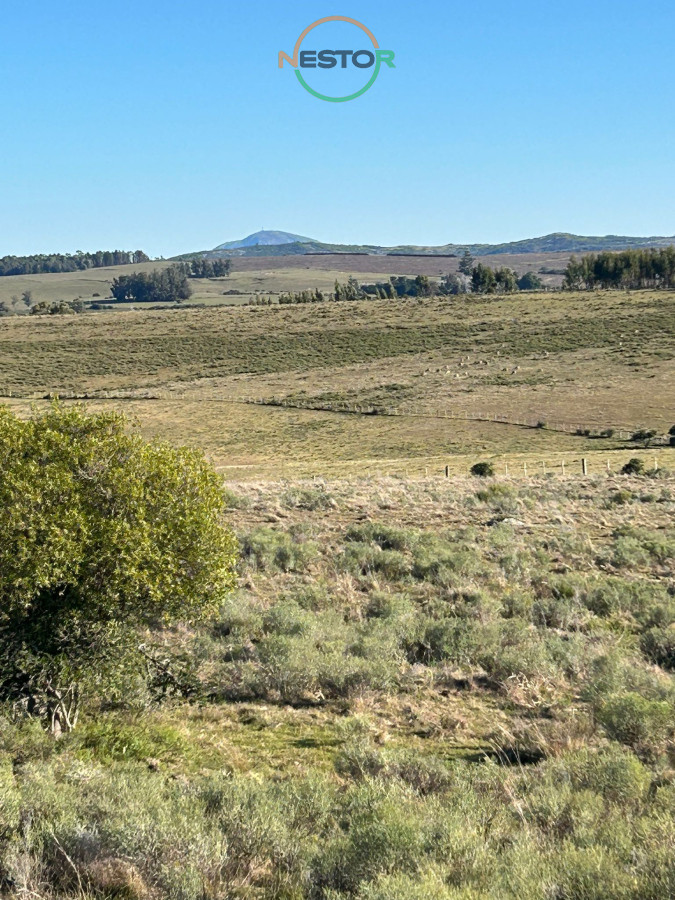 Chacra ID.6846 - 15 Has con todo lo que buscas, vistas increíbles, cañada, tajamar, monte nativo y a tan solo 30 minutos de Punta !