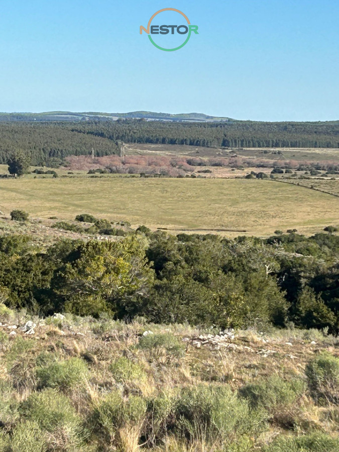 Chacra ID.6846 - 15 Has con todo lo que buscas, vistas increíbles, cañada, tajamar, monte nativo y a tan solo 30 minutos de Punta !