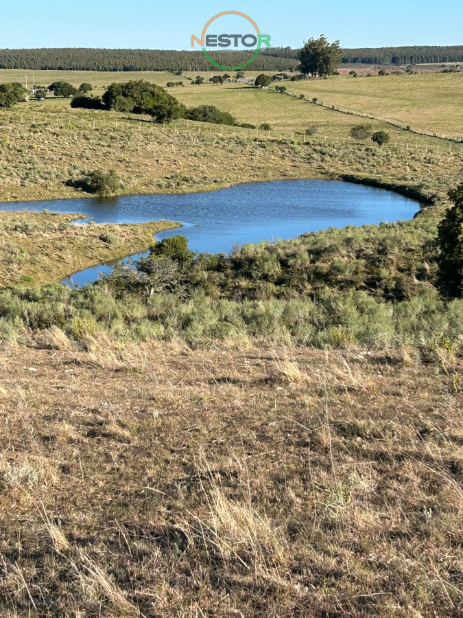 Chacra ID.6846 - 15 Has con todo lo que buscas, vistas increíbles, cañada, tajamar, monte nativo y a tan solo 30 minutos de Punta !