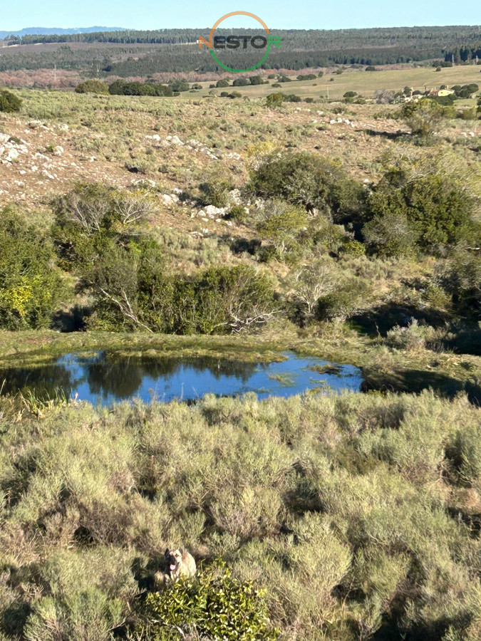 Chacra ID.6846 - 15 Has con todo lo que buscas, vistas increíbles, cañada, tajamar, monte nativo y a tan solo 30 minutos de Punta !