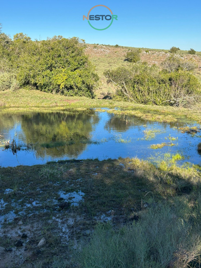 Chacra ID.6846 - 15 Has con todo lo que buscas, vistas increíbles, cañada, tajamar, monte nativo y a tan solo 30 minutos de Punta !