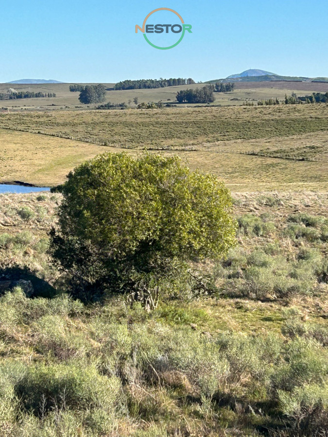 Chacra ID.6846 - 15 Has con todo lo que buscas, vistas increíbles, cañada, tajamar, monte nativo y a tan solo 30 minutos de Punta !
