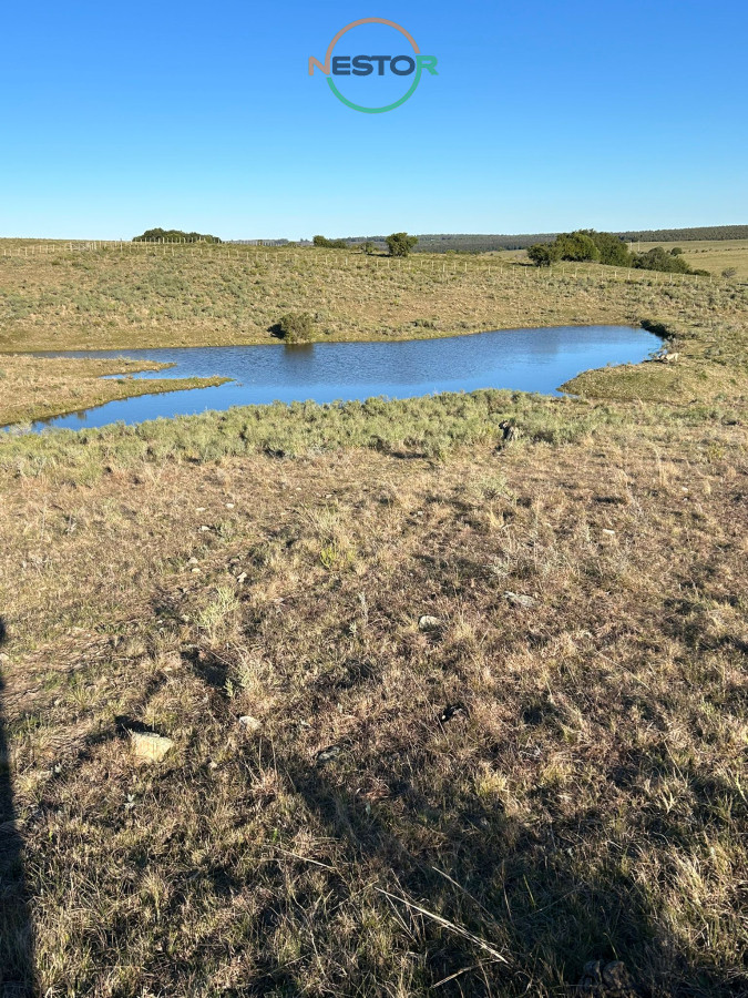 Chacra ID.6846 - 15 Has con todo lo que buscas, vistas increíbles, cañada, tajamar, monte nativo y a tan solo 30 minutos de Punta !