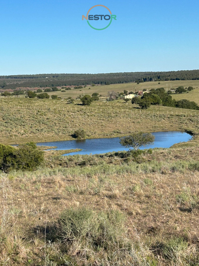 Chacra ID.6846 - 15 Has con todo lo que buscas, vistas increíbles, cañada, tajamar, monte nativo y a tan solo 30 minutos de Punta !