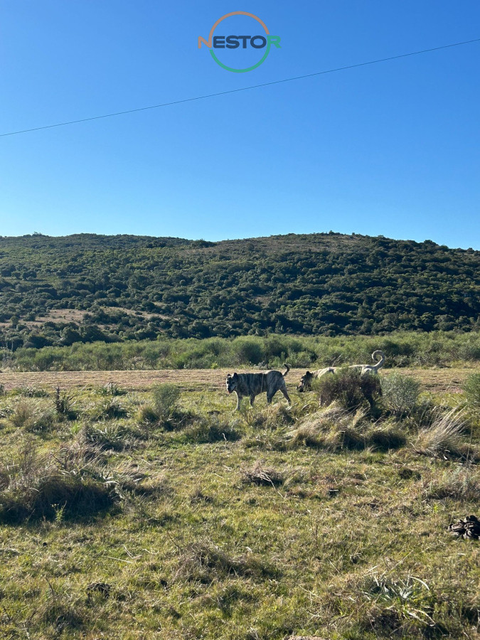 Chacra ID.6846 - 15 Has con todo lo que buscas, vistas increíbles, cañada, tajamar, monte nativo y a tan solo 30 minutos de Punta !