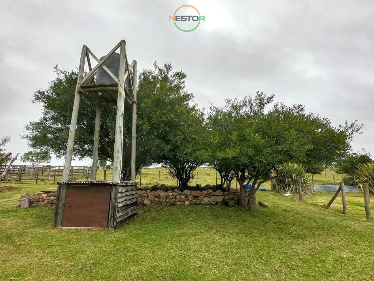 Chacra ID.6844 - Bajo de Precio !!! Casa de campo en serio, son 5 hectáreas de paz, tranquilidad y muy bien ubicada !