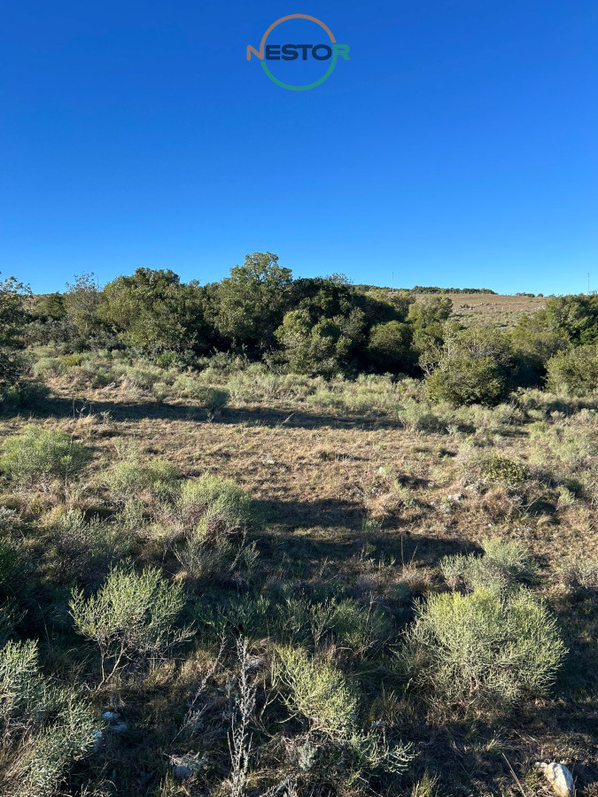 Chacra ID.6847 - Lindo campito de Recreo o para fraccionar a 30 minutos de Punta, Monte Nativo, tajamar y muy buenas vistas !