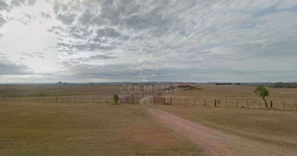 San Carlos - GoPunta - Portal Inmobiliario de Punta del Este - Maldonado