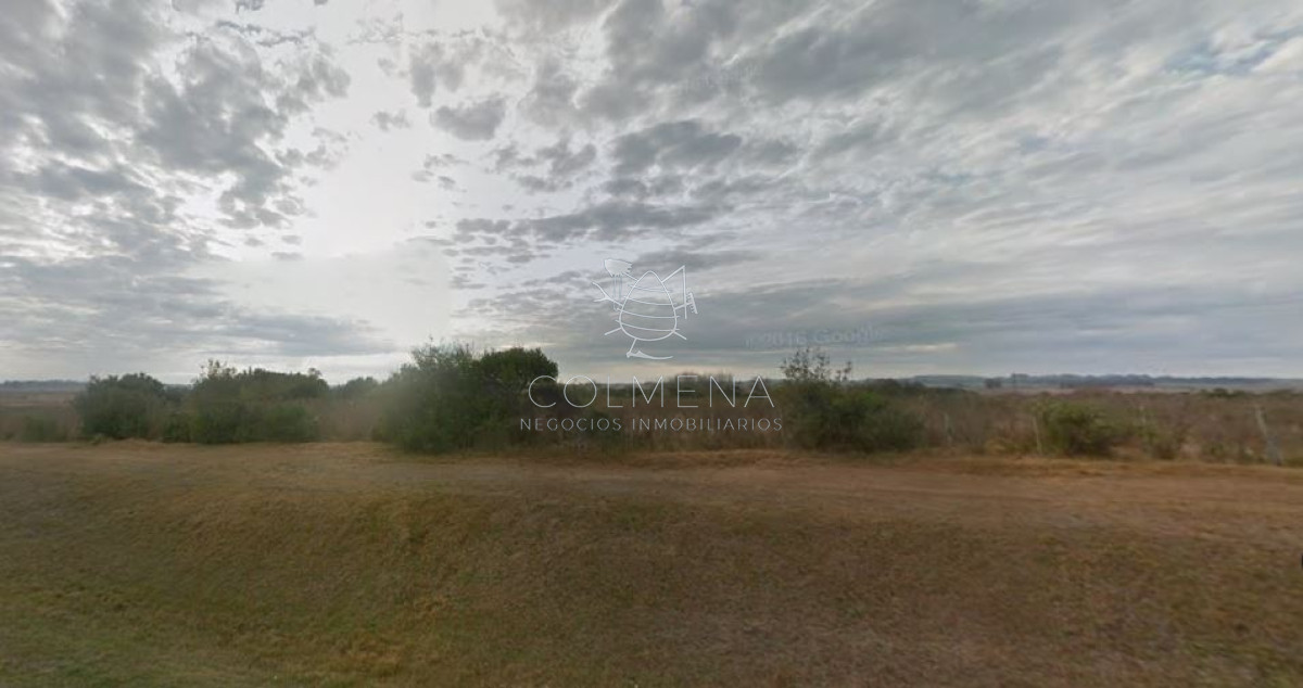 San Carlos - GoPunta - Portal Inmobiliario de Punta del Este - Maldonado