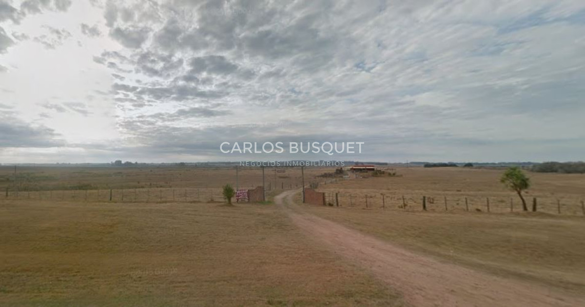 Chacra ID.1195 - Logística, Galpones sobreR.39, Oportunidad Inversores